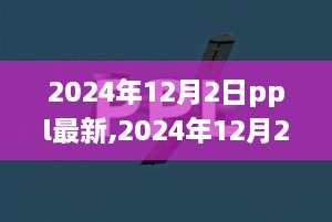 2024年12月2日PPL最新动态与发展趋势深度解析