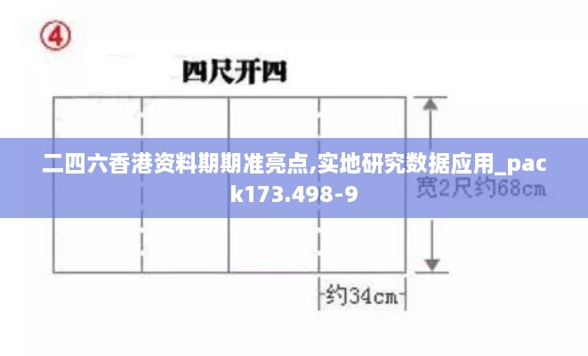 二四六香港资料期期准亮点,实地研究数据应用_pack173.498-9