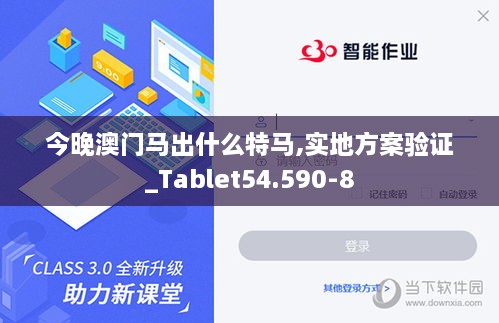 今晚澳门马出什么特马,实地方案验证_Tablet54.590-8