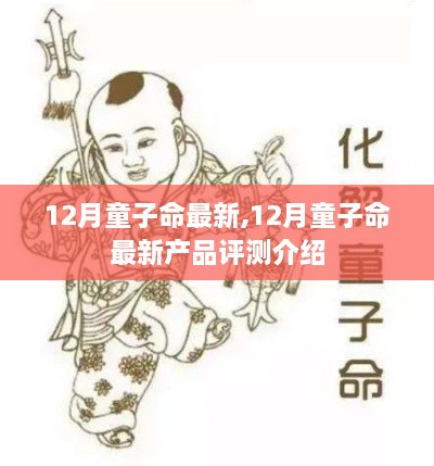 12月童子命最新产品评测介绍，全面解读童子命最新动态