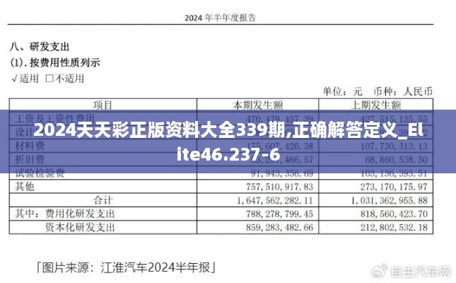 2024天天彩正版资料大全339期,正确解答定义_Elite46.237-6