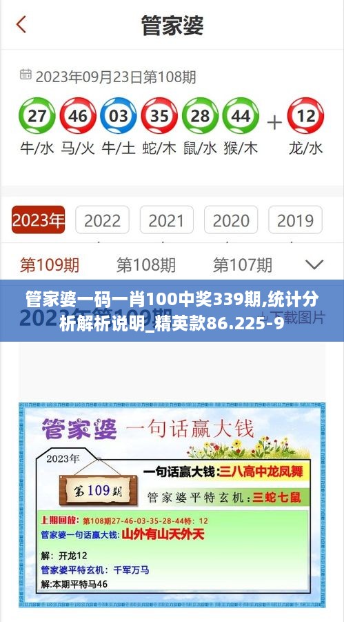 管家婆一码一肖100中奖339期,统计分析解析说明_精英款86.225-9