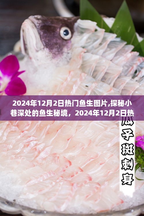 探秘小巷深处的鱼生秘境，揭秘热门鱼生图片背后的故事，2024年12月2日精选图片展示