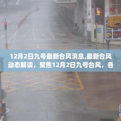 12月2日九号台风最新动态，多方观点与个人立场解读