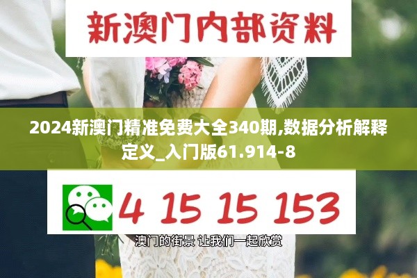 2024新澳门精准免费大全340期,数据分析解释定义_入门版61.914-8