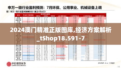 2024澳门精准正版图库,经济方案解析_tShop18.591-7