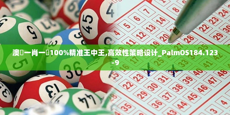 澳門一肖一碼100%精准王中王,高效性策略设计_PalmOS184.123-9