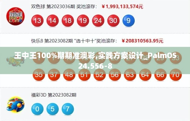 王中王100%期期准澳彩,实践方案设计_PalmOS24.556-8