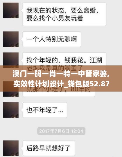 澳门一码一肖一特一中管家婆,实效性计划设计_钱包版52.873-4