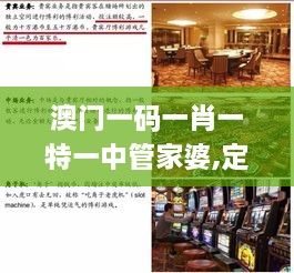 澳门一码一肖一特一中管家婆,定性解析说明_Lite60.467-8