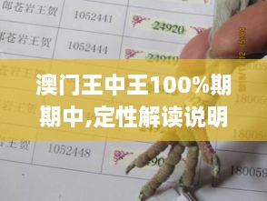 澳门王中王100%期期中,定性解读说明_钻石版94.411-7