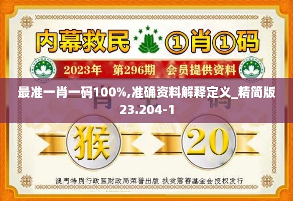 最准一肖一码100%,准确资料解释定义_精简版23.204-1