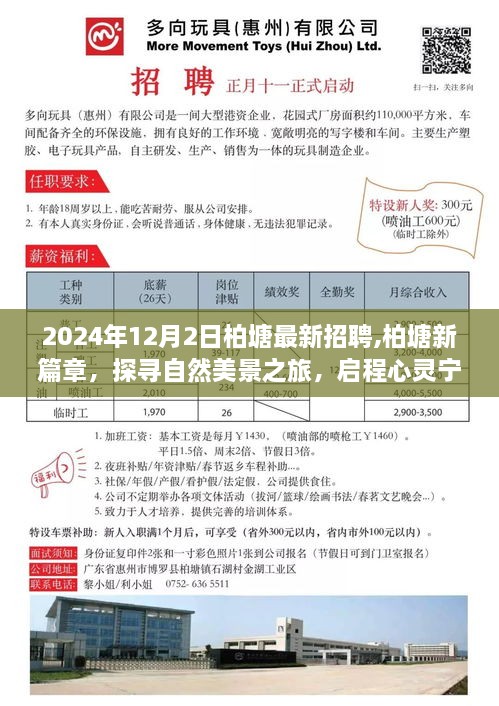 柏塘最新招聘启幕，共赴人生盛宴，探寻自然美景的心灵之旅