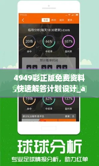 4949彩正版免费资料,快速解答计划设计_android27.756