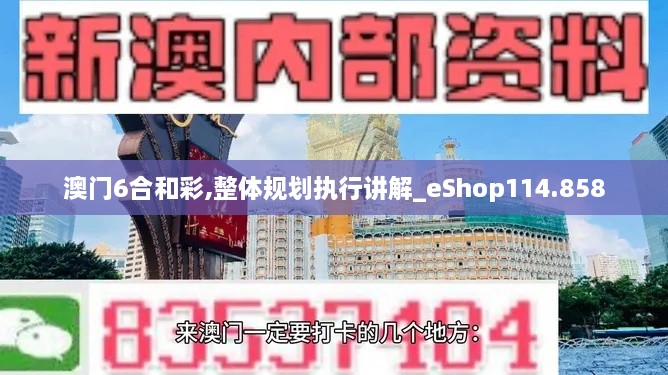 澳门6合和彩,整体规划执行讲解_eShop114.858