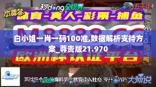 白小姐一肖一码100准,数据解析支持方案_尊贵版21.970