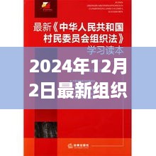 最新组织法下的温馨日常，小明的组织之旅与友情的魔法之路（2024年组织法解读）