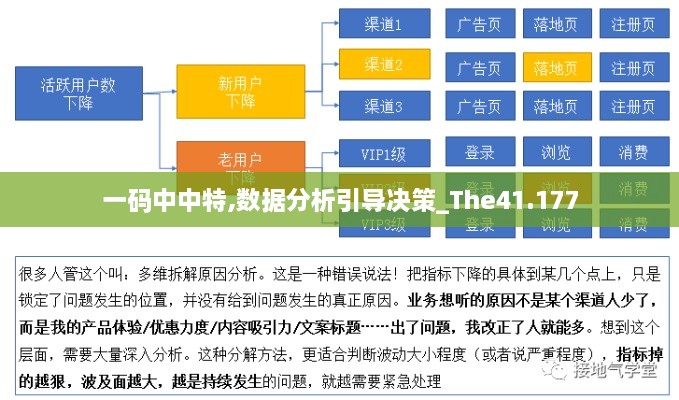 一码中中特,数据分析引导决策_The41.177