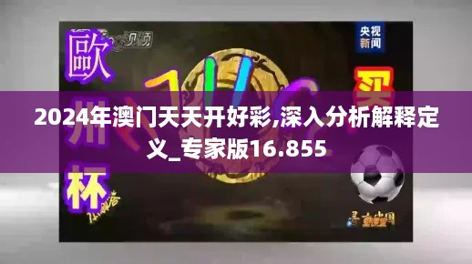 2024年澳门天天开好彩,深入分析解释定义_专家版16.855