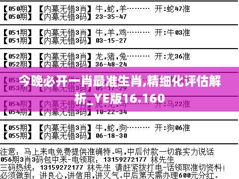 今晚必开一肖最准生肖,精细化评估解析_YE版16.160