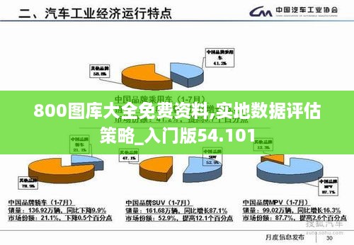 800图库大全免费资料,实地数据评估策略_入门版54.101