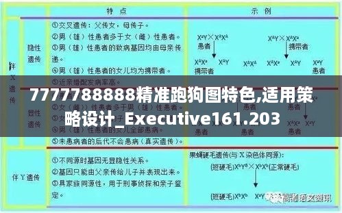 7777788888精准跑狗图特色,适用策略设计_Executive161.203