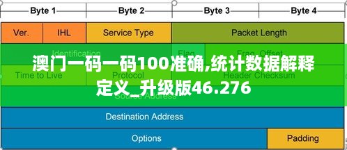 澳门一码一码100准确,统计数据解释定义_升级版46.276