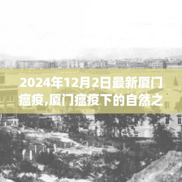 厦门瘟疫下的自然之旅，心灵宁静探索之旅（2024年12月）