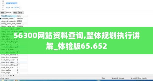 56300网站资料查询,整体规划执行讲解_体验版65.652