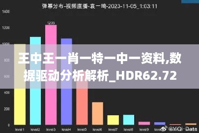 王中王一肖一特一中一资料,数据驱动分析解析_HDR62.720