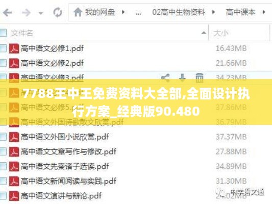 7788王中王免费资料大全部,全面设计执行方案_经典版90.480