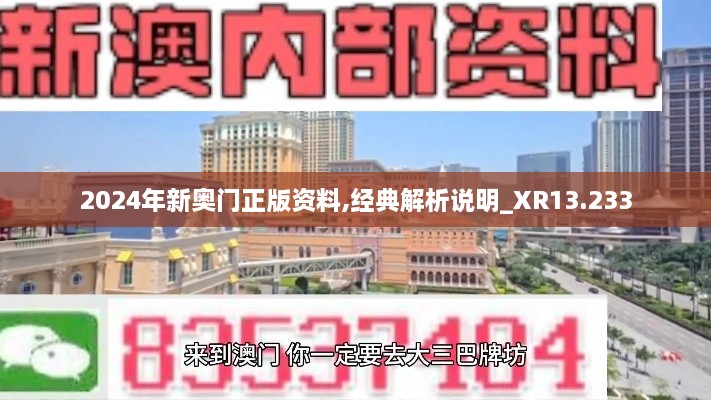 2024年新奥门正版资料,经典解析说明_XR13.233