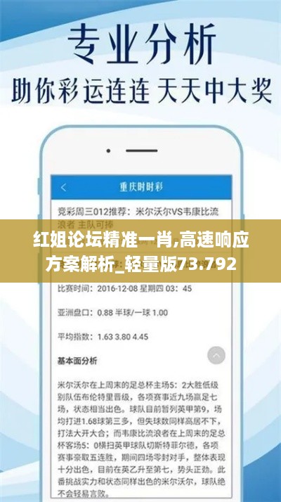 红姐论坛精准一肖,高速响应方案解析_轻量版73.792