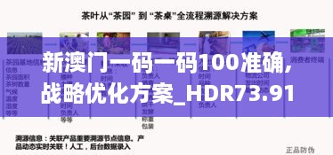 新澳门一码一码100准确,战略优化方案_HDR73.919