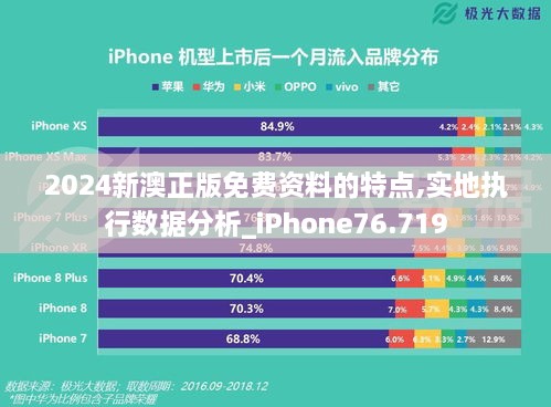 2024新澳正版免费资料的特点,实地执行数据分析_iPhone76.719