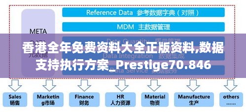 香港全年免费资料大全正版资料,数据支持执行方案_Prestige70.846