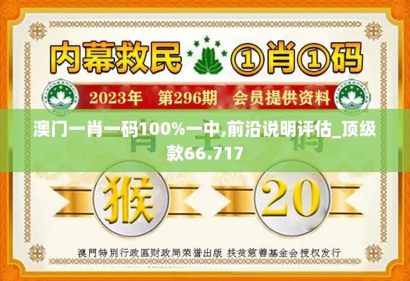 澳门一肖一码100%一中,前沿说明评估_顶级款66.717