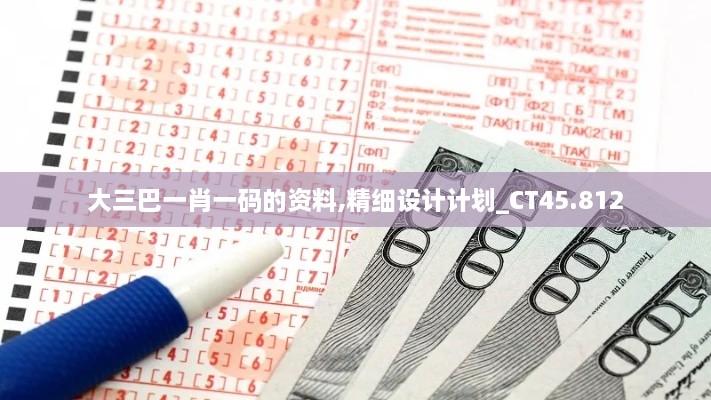 大三巴一肖一码的资料,精细设计计划_CT45.812