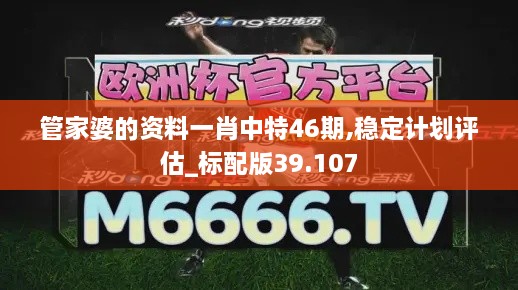 管家婆的资料一肖中特46期,稳定计划评估_标配版39.107