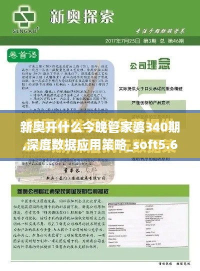 新奥开什么今晚管家婆340期,深度数据应用策略_soft5.634-1