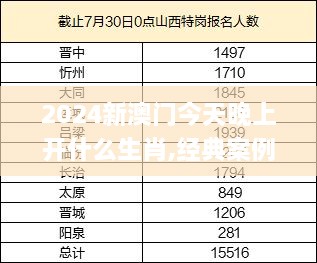 2024新澳门今天晚上开什么生肖,经典案例解释定义_MP10.399