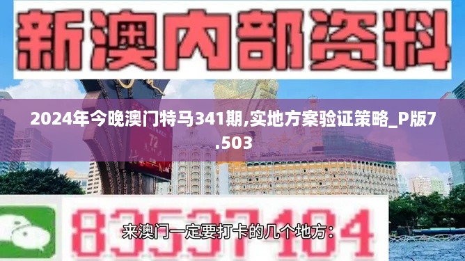 2024年12月5日 第12页