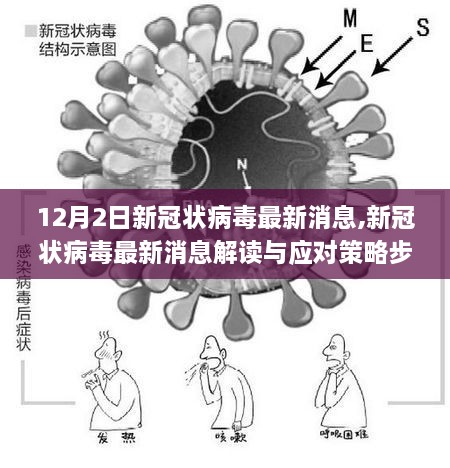 初学者版新冠病毒应对策略指南，最新消息解读与步骤（12月2日更新）