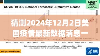 2024年12月2日美国疫情最新数据消息展望，背景、影响与全球地位分析