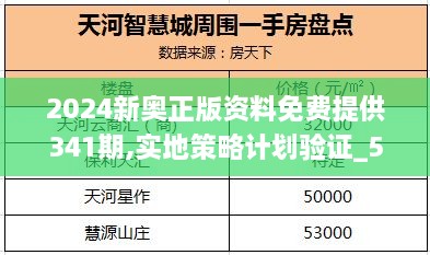 2024新奥正版资料免费提供341期,实地策略计划验证_5DM4.110