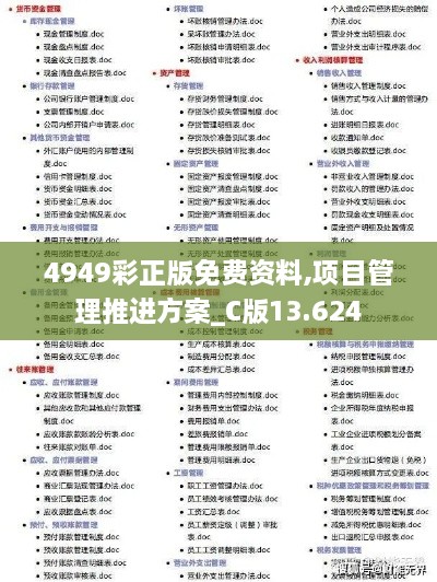 4949彩正版免费资料,项目管理推进方案_C版13.624