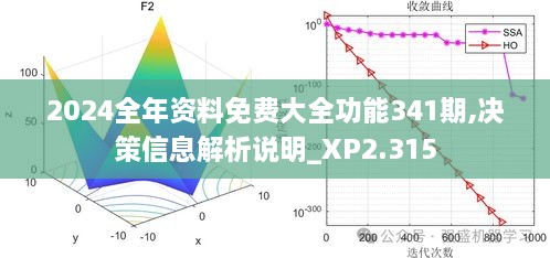 2024全年资料免费大全功能341期,决策信息解析说明_XP2.315