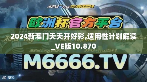 2024新澳门天天开好彩,适用性计划解读_VE版10.870