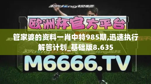 管家婆的资料一肖中特985期,迅速执行解答计划_基础版8.635