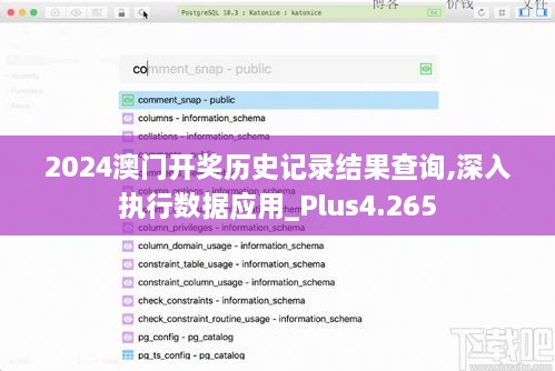 2024澳门开奖历史记录结果查询,深入执行数据应用_Plus4.265